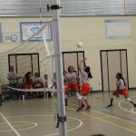 mry_2954